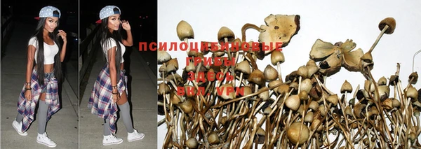 спиды Балабаново
