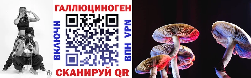 где продают наркотики  Талдом  Галлюциногенные грибы Cubensis 